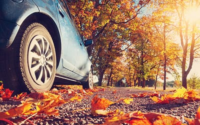 Safe Driving Tips For Fall